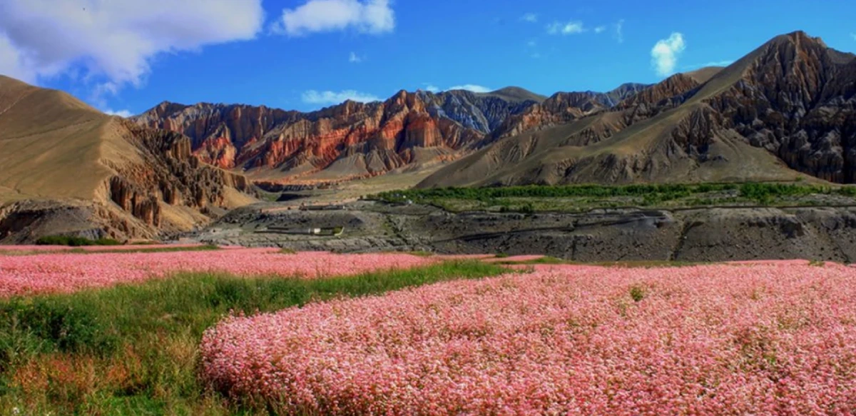 Trekking in Upper Mustang During Monsoon: Why It Is Actually a Great Idea